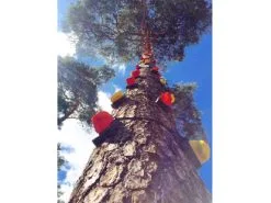 Monkey® Baumklettergriff-Set HIGH SCHOOL -Schlägersport D4690 02 A01 ecommerce 7