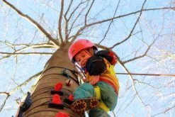 Monkey® Baumklettergriff-Set HIGH SCHOOL -Schlägersport D4690 02 B00 ecommerce 6